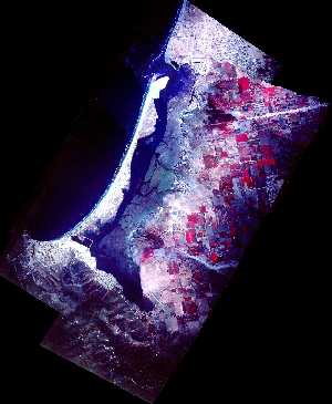 Selecciona la imagen para ver la imagen grande (tama�o 1,020 kb)