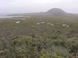 Selecciona la imagen para ver imagen grande