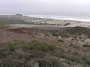 Selecciona la image para ver imagen grande